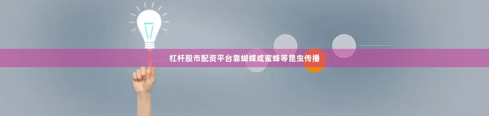 杠杆股市配资平台靠蝴蝶或蜜蜂等昆虫传播