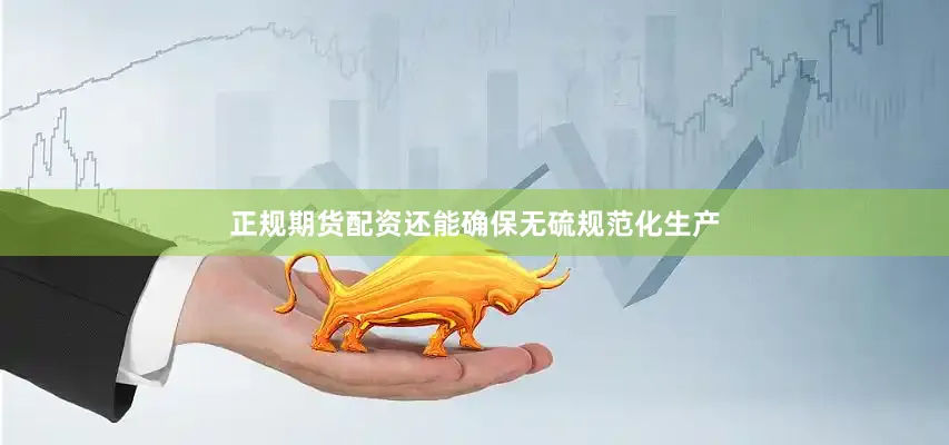 正规期货配资还能确保无硫规范化生产